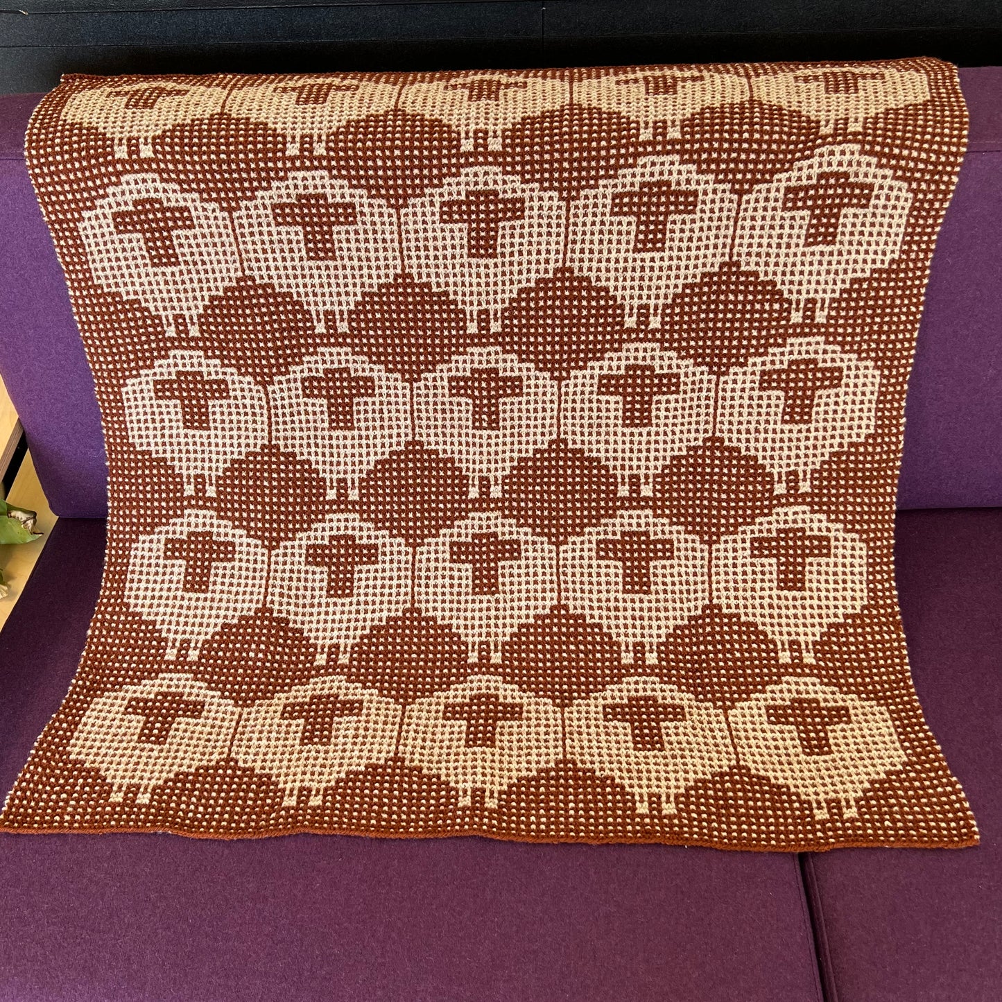 Rebel Sheep Mob Blanket - Curious Feeling