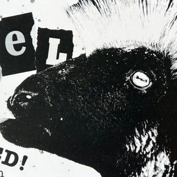 Rebel Worsted Mini Skeins