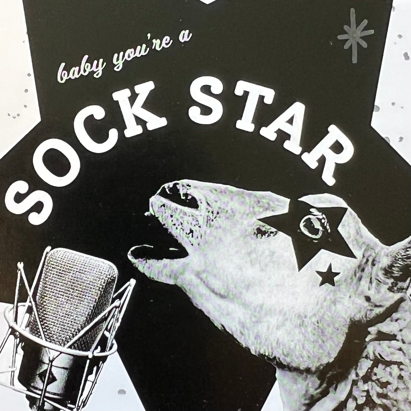 Sock Star Fundraiser